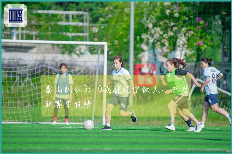 泰山队以3：0战胜辽宁铁人，开启新赛季佳绩