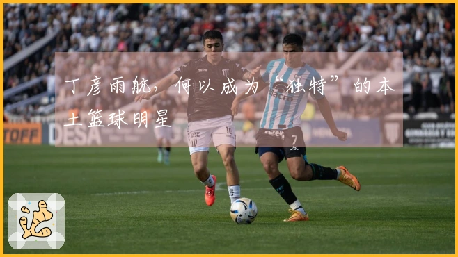 丁彦雨航，何以成为“独特”的本土篮球明星