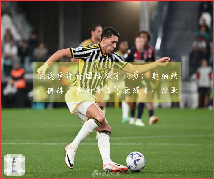 范德萨评价国际级守门员：奥纳纳、裤袜、多纳鲁马等获提名，拉亚不在列