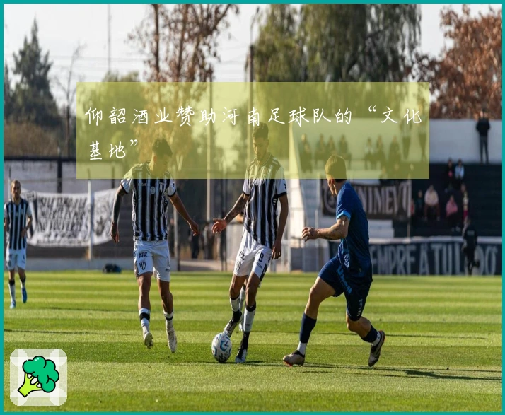 仰韶酒业赞助河南足球队的“文化基地”